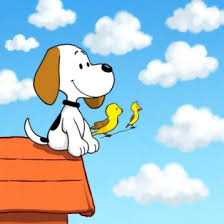 AAA