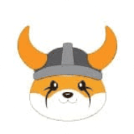 FLOKI